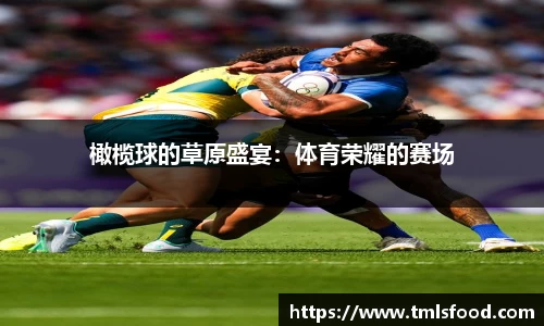 橄榄球的草原盛宴：体育荣耀的赛场