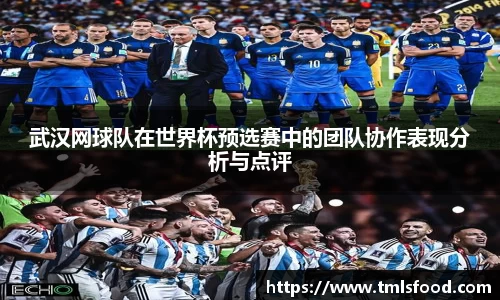 武汉网球队在世界杯预选赛中的团队协作表现分析与点评